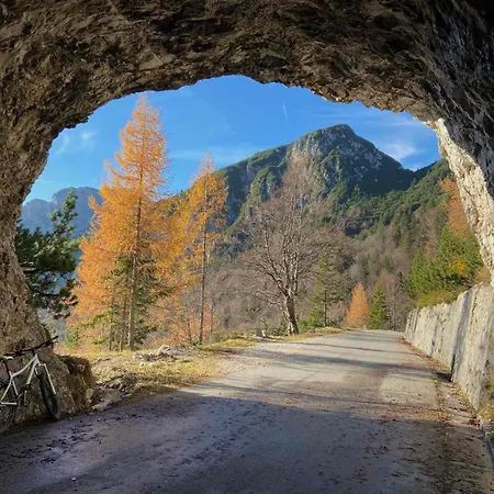 Apartma Lina Apartman *