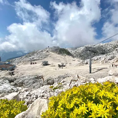 Apartmán Apartma Lina *