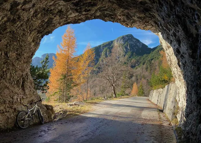 Apartma Lina شقة *